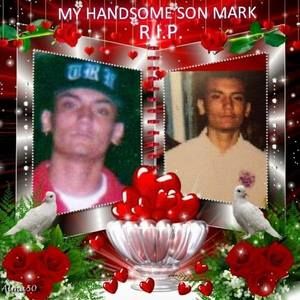 Meet your Posher, Lina